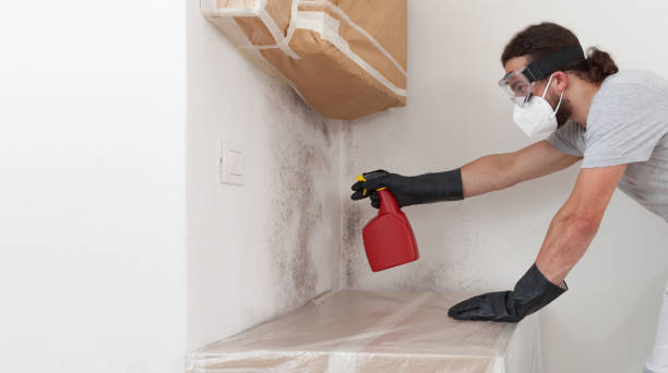 Professional Mold Inspection And Testing technician working in Patchogue, NY